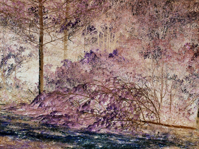 https://maudegruebel.com/files/gimgs/th-19_2022_02_20_SIM_02_044_F_22_30_V1_Nega_A.jpg